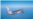 Aerolíneas de EEUU aplauden vuelos a Cuba