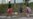 Empeoran condiciones de vida de las familias con niños en Cuba