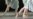 Exito de bailarines cubanos llama la atención del New York Times