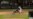 Abreu conectó un doble a Chapman