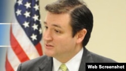 Ted Cruz, aspirante republicano al Senado de EEUU.