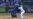 Los Reales no claudican y ganan en 14 innings a los Mets