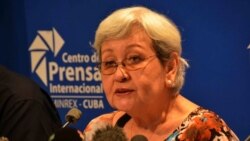 Para opositores cubanos las palabras de la relatora son insultantes Para opositores cubanos las palabras de la relatora son insultantes