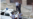 Desconocen paradero de cuatro Damas de Blanco detenidas en las últimas horas