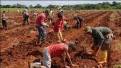 Cubanos rechazan medidas anunciadas por autoridades de Educación Cubanos rechazan medidas anunciadas por autoridades de Educación