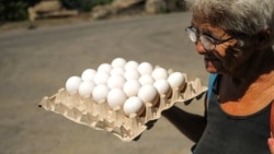 Huevos, desabastecimiento y mercado negro en Cuba Huevos, desabastecimiento y mercado negro en Cuba