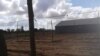 Campos de tabaco en San Juan y Martínez