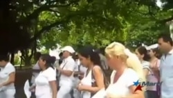 Detienen a 190 activistas por los DDHH este domingo en Cuba Detienen a 190 activistas por los DDHH este domingo en Cuba
