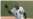 Muere Minnie Miñoso, gloria del béisbol