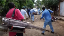 Peligro de proliferación de dengue por falta de medidas sanitarias Peligro de proliferación de dengue por falta de medidas sanitarias