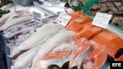Filetes de salmón.