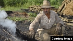 Haciendo hornos para carbon