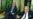 Raúl Castro aún no recibe la lista de presos políticos cubanos