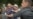 ¿Qué tiene Seguridad del Estado contra Yuri Valle? pensamientos de Martí, imágenes de Maceo y una propuesta elecciones libres