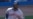 Cubanos tímidos este fin de semana en MLB: no siempre es un jardín de rosas