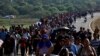 Cientos de miles de migrantes aprovechan el puente de Nicaragua para viajar a la frontera Sur de Estados Unidos e ingresar al país de forma irregular. Algunos viajan en caravanas, como la de esta imagen, tomada en enero pasado en Huixtla, México.