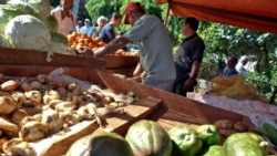 Campesinos hablan de las verdaderas trabas al desarrollo agrícola de Cuba Campesinos hablan de las verdaderas trabas al desarrollo agrícola de Cuba