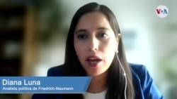 Declaraciones de la analista Diana Luna del think tank Friedrich-Naumann Declaraciones de la analista Diana Luna del think tank Friedrich-Naumann