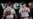 Los Bravos de Atlanta y su competencia local