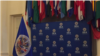 Organización de Estados Americanos (OEA)