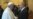 Putin y el Papa sostienen conversaciones "sustanciales" a la sombra de crisis en Ucrania