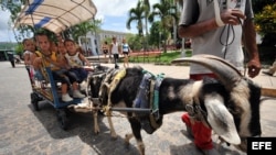 Varios niños pasean en un carretón tirado por un chivo en el Parque Vidal de Santa Clara (Cuba),