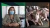 La Dra. Elizabeth Peña, en el programa de la televisión estatal cubana "Agrocuba".