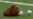 Así va la pretemporada de las Grandes Ligas