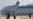 Norteamericanos visitarán Cuba en crucero
