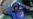 Lesionado el pelotero cubano Jorge Soler