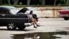 La mayoría de los taxistas privados o boteros trabajan en carros americanos de los años cincuenta y viejos autos de fabricación soviética.