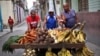 Cuantapropistas cubanos.