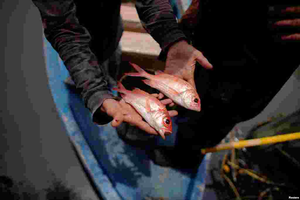 Los cubanos consumen un cuarto de los alimentos marinos que comían a fines de la década de 1980, según datos oficiales, y sólo una fracción del promedio global de consumo de pescado per cápita, lo que los ha llevado a bromear con que son una isla sin pece