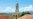 Cuba: estudia la Iglesia Católica su patrimonio cultural