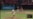 Jonronean Aledmys, Yasmani y Yonder; Iglesias sale con ponche de bases llenas