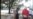 Activistas distribuyen proclamas y pegatinas en Caimanera