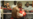 Cubano Rigondeaux noqueó a tailandés Kokietgym