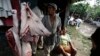 Agricultores descansan después de la matanza de un cerdo en una granja en las afueras de La Habana. (Archivo)