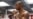 Erislandy Lara unificará dos títulos mundiales ante Vendetti