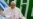 El Papa critica la "información falsa" y le prepara un mensaje